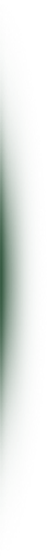 shadow